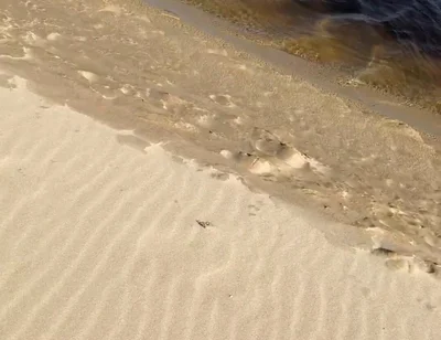 Beach Walk