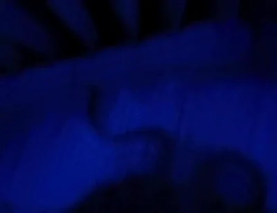 Blue Romance, Blowjob From a Sensual Blonde