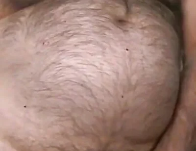Furry Bear Coach Karl Live Cam Show