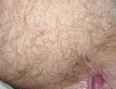 Eat My Ass and Drink My Nut