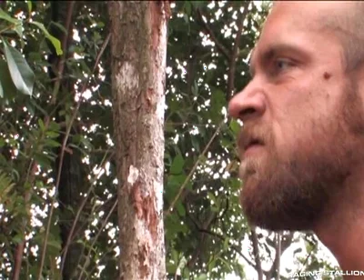 Lords of the Jungle