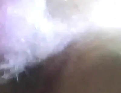 Destroyed by a 26cm Cock