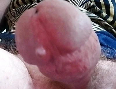 Let Cock Be Your Guide