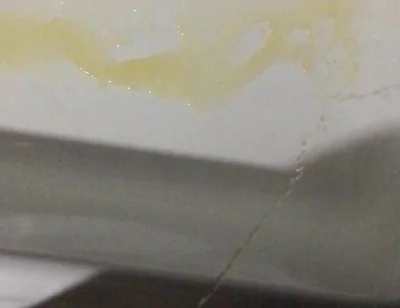 Peeing in the Bathtub