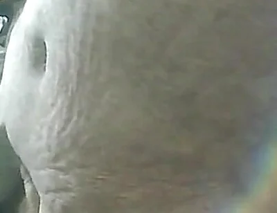 Cumshot & Jerking off