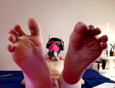 Paws Took Over Your Screen