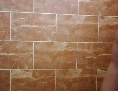 I Made a Video in the Toilet While Taking a Shower.