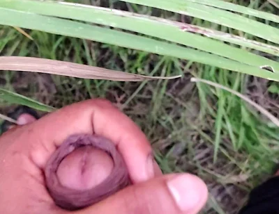 Masturbating in the Sugarcane Field