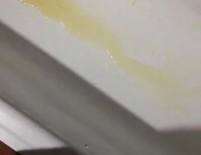 Peeing in the Bathtub