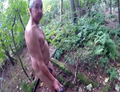 Exploring a New Wood