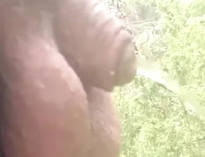 489442701863825409.mp4