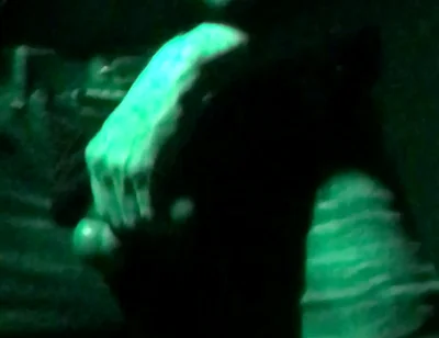 Young Jock Guy Masterbates in Club
