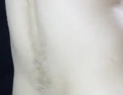 Ass stretching, big toys, inflatable, huge buttplugs, cumshot.