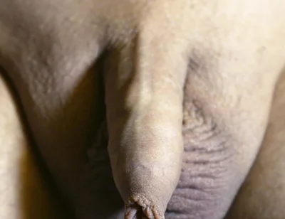 Play with My Little Cock and Balls. at the End There I Cum.