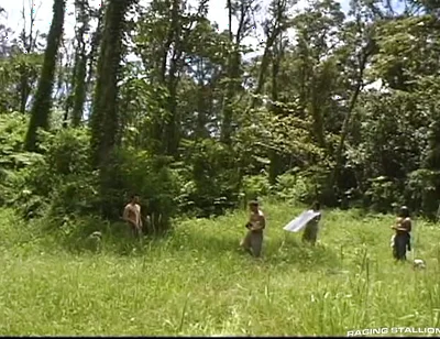 Bts-apex