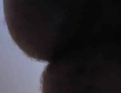 Hey Cumshot