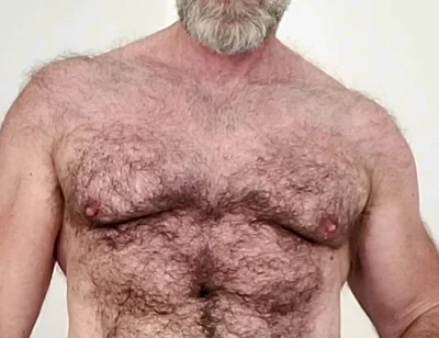 Sexy Hairy Muscle Bear
