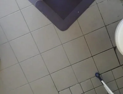Video Examination of the Neck Holder for Ass