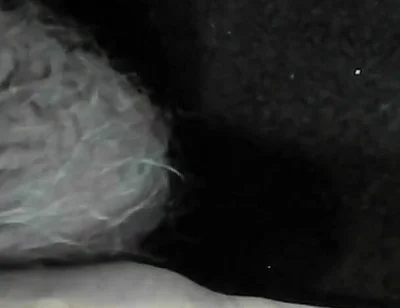 Arc of Sperm, Solo Amateur, Fountain