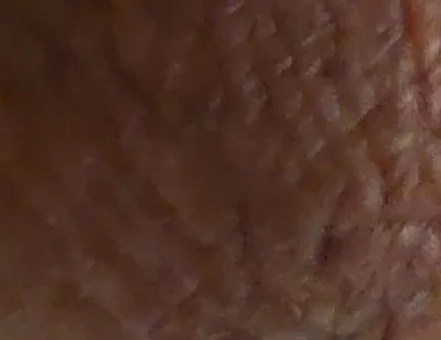 Closeup Desi Dick