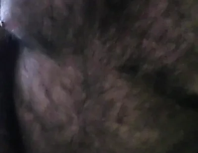 Bear Alone