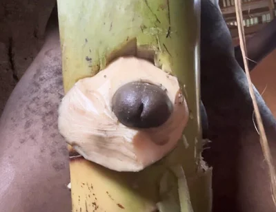 Hoter Way to Be Very Hard Strong Straight Cum Cute