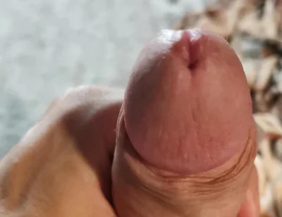 Sexy Cock