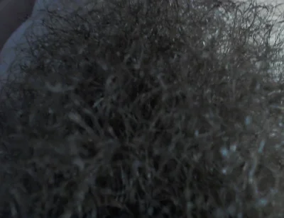 Hairy Pubic a Use Your Faces.