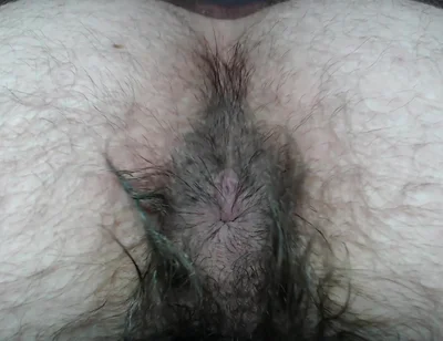 Cock Balls and Hairy Ass of Farts