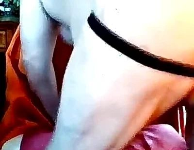 Bear Jerks off on Cam - Makes Verbal Bcc Cum While Watching!