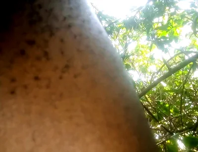 Travel bush
