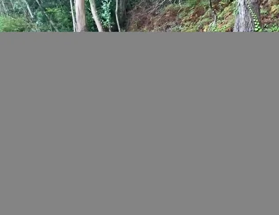 Over 1 Hour of Gay Sex Compilation