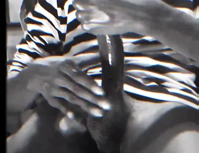 Wanna See a Full Video?