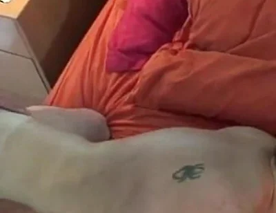 Rokko & Jony Fucks Sebaxxx