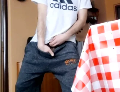 Compilation of Random Videos I Selected