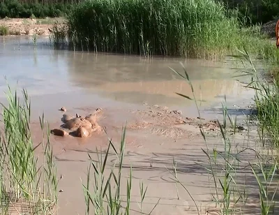 A Short Exploration of a New Mud Lake