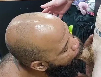 Taking Turns with the Dirty Bear's Ass