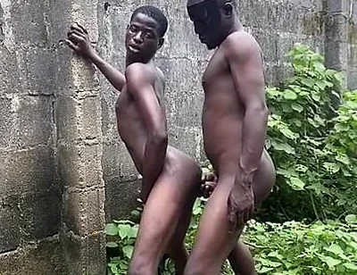 Bush Fucking Section