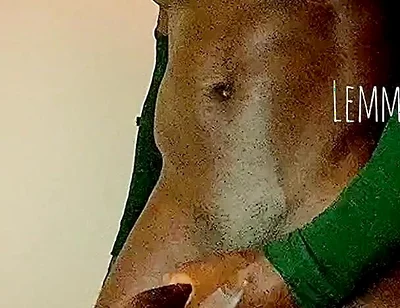 Buffy Guy Released Load of Cum