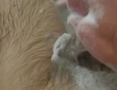 Bathroom Fun