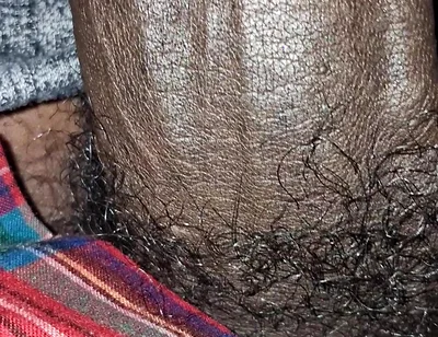Big Chocolate Meat