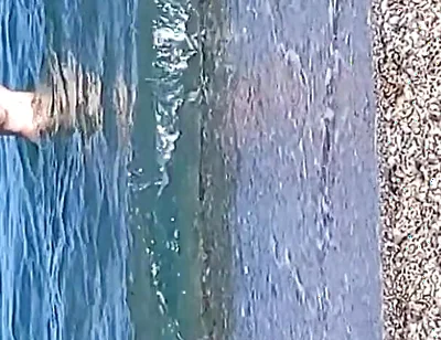 The Water Is Cold Very Cold