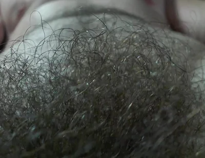 A Alpha's Hairy Pubic Area and Cock