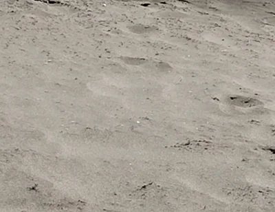 On the Beach Nude