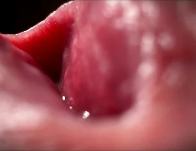Sperm Close-up Front