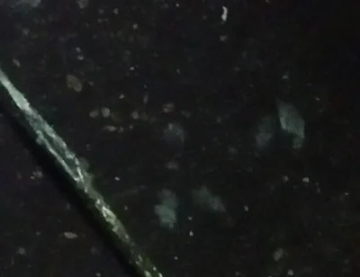 Pissing Time