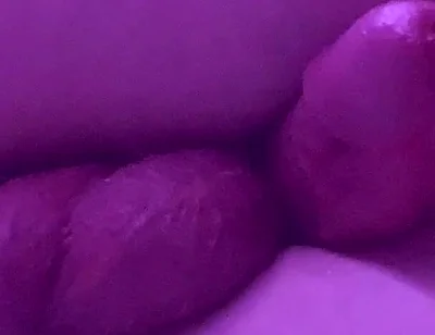 No Hands Cumshot From Anal Vibrator