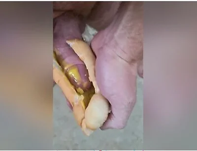 Guy Shoves His Cock Between Two Saucy Buns. Dp Creampie. Asmr. Hotdogs And Mustard