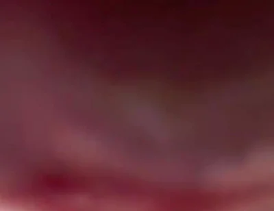Your POV. Big Femboy Cock Right on Your Face
