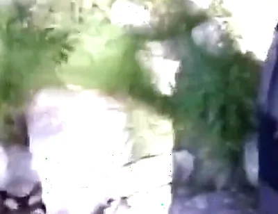 Jon Arteen Pissing Pee Outside. Twink Flirting in a Gay Cruising Park. Sexy Slim Boy in Adidas Sportwear
